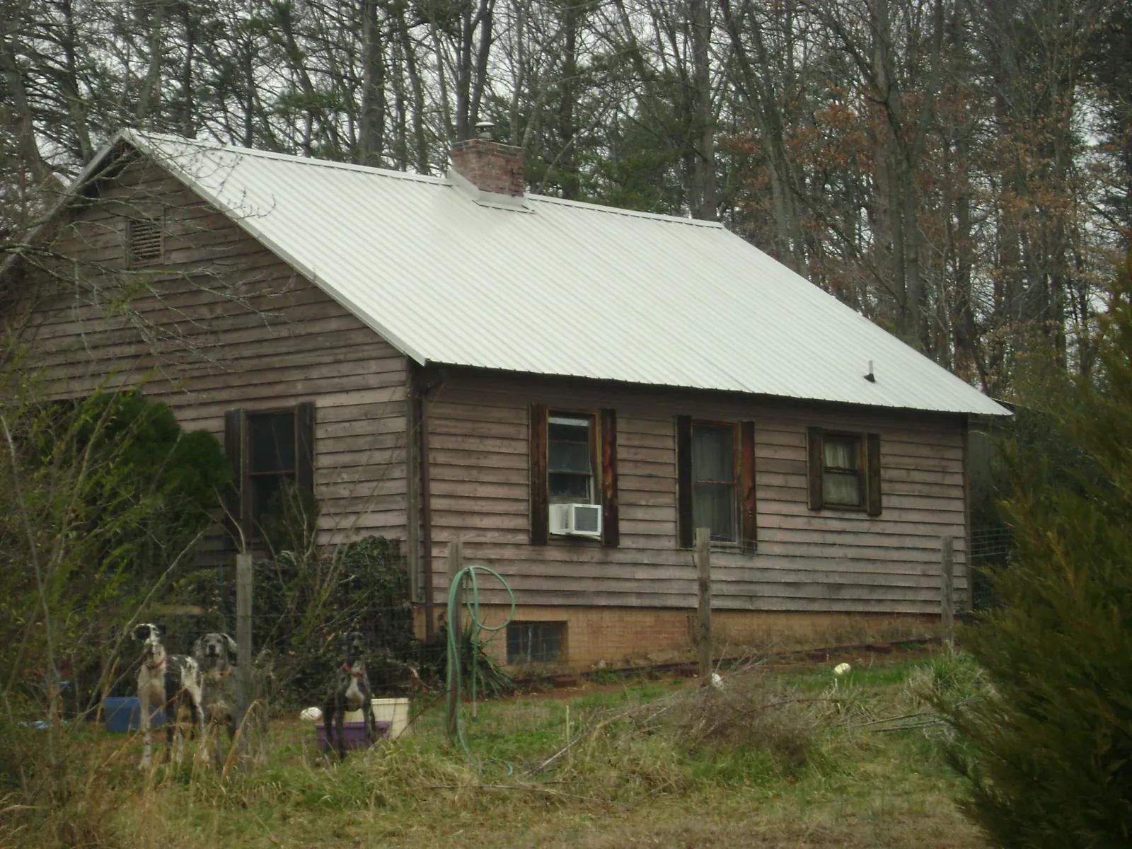 White metal roof on an old wood sided farmhouse, from a Asphalt Shingle Roof Repair job in Gravity